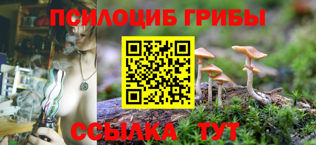 Псилоцибиновые грибы мухоморы Новошахтинск